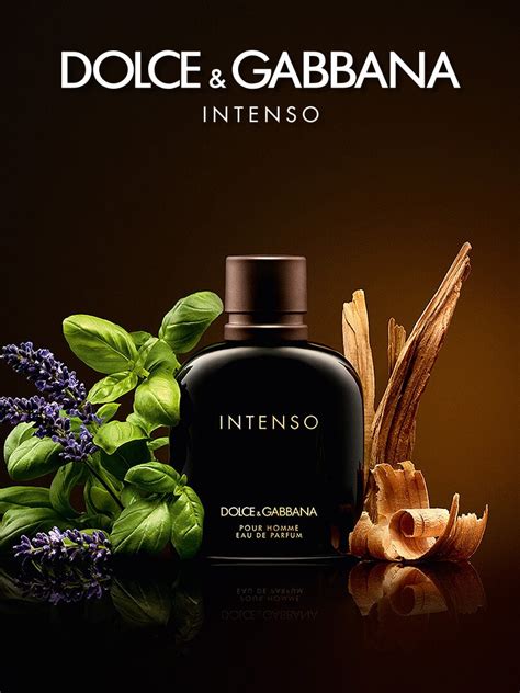 dolce & gabbana intenso coffret eau de parfum spray|what does dolce mean.